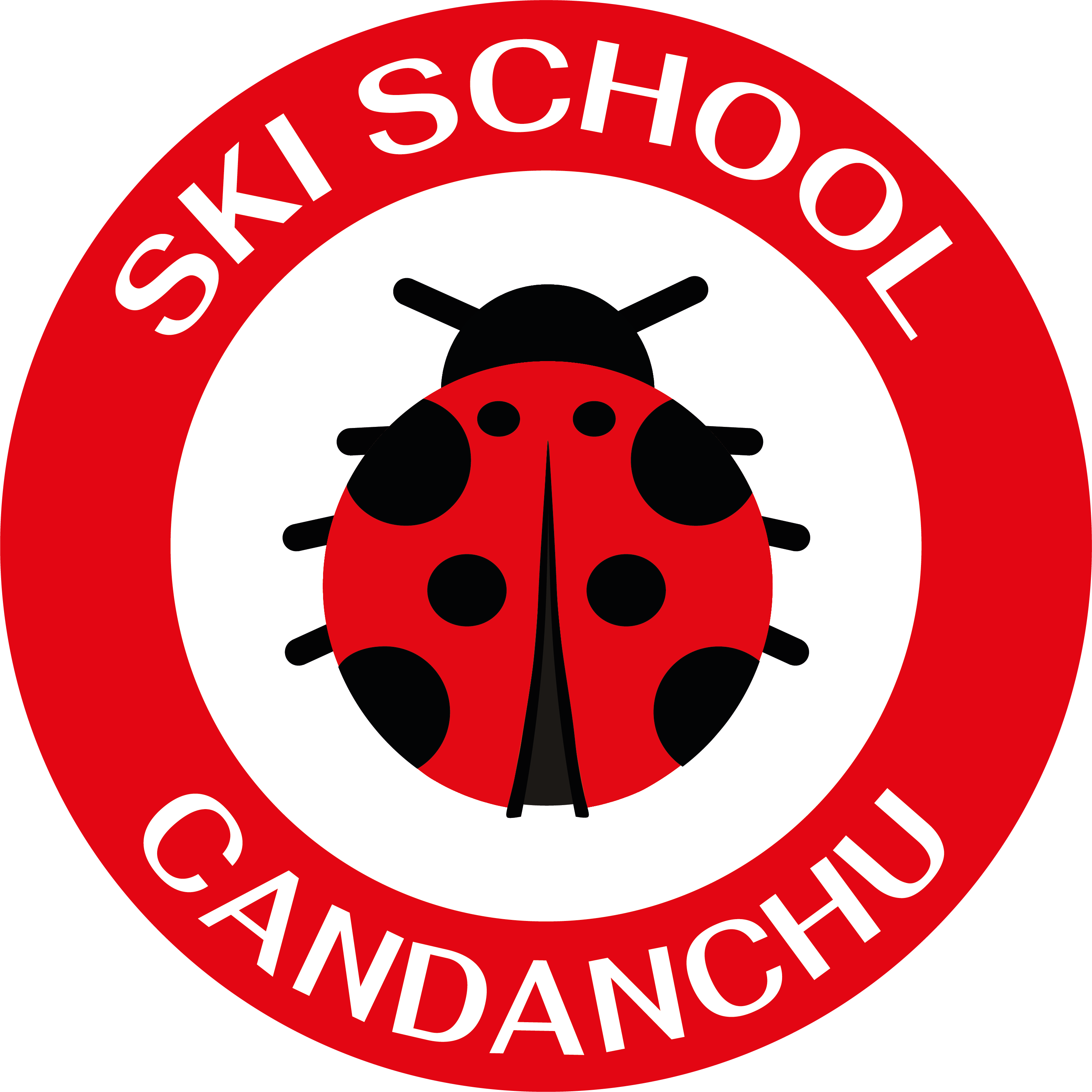 (c) Skischoolcandanchu.com